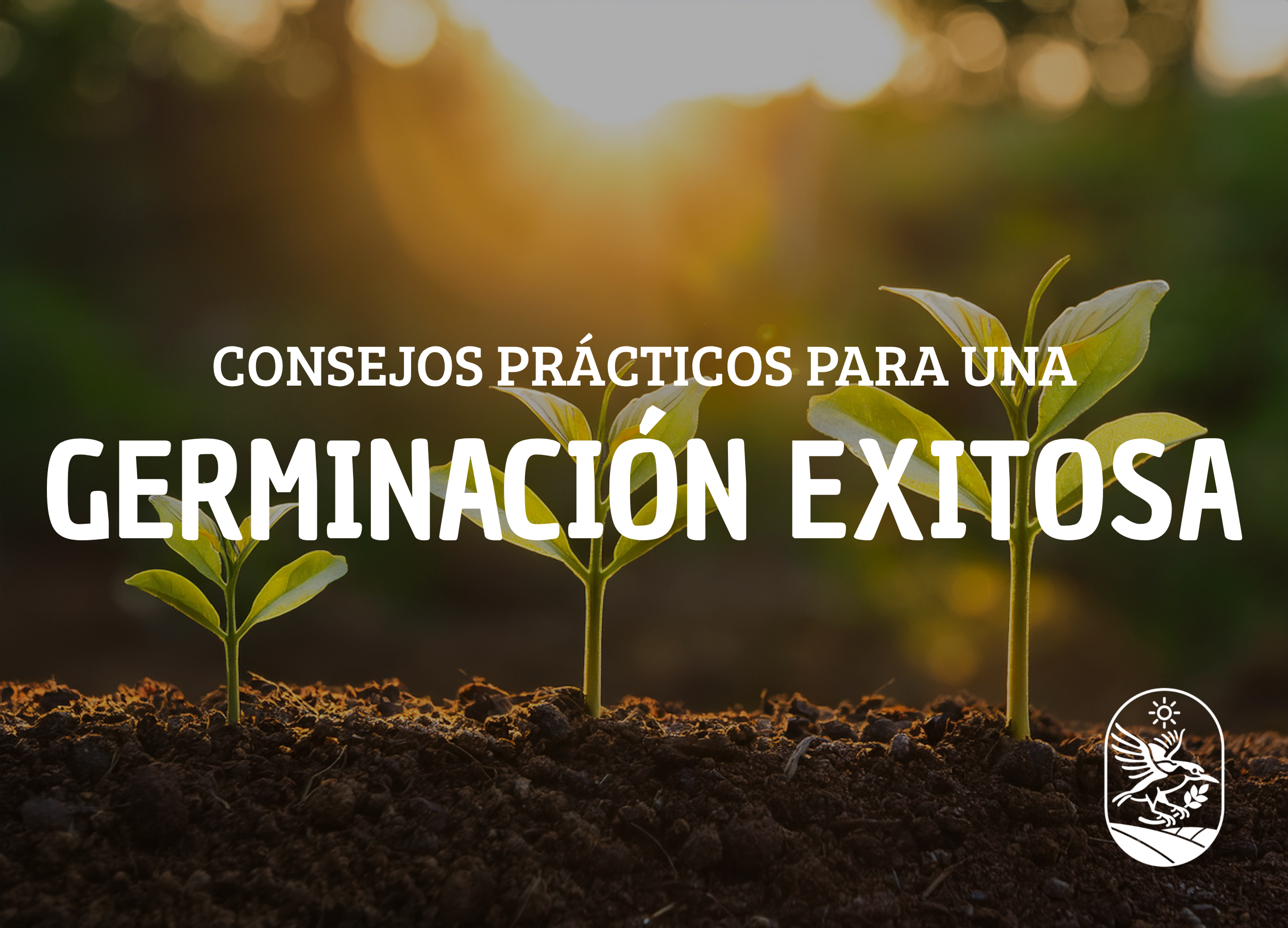 Consejos para una germinación exitosa