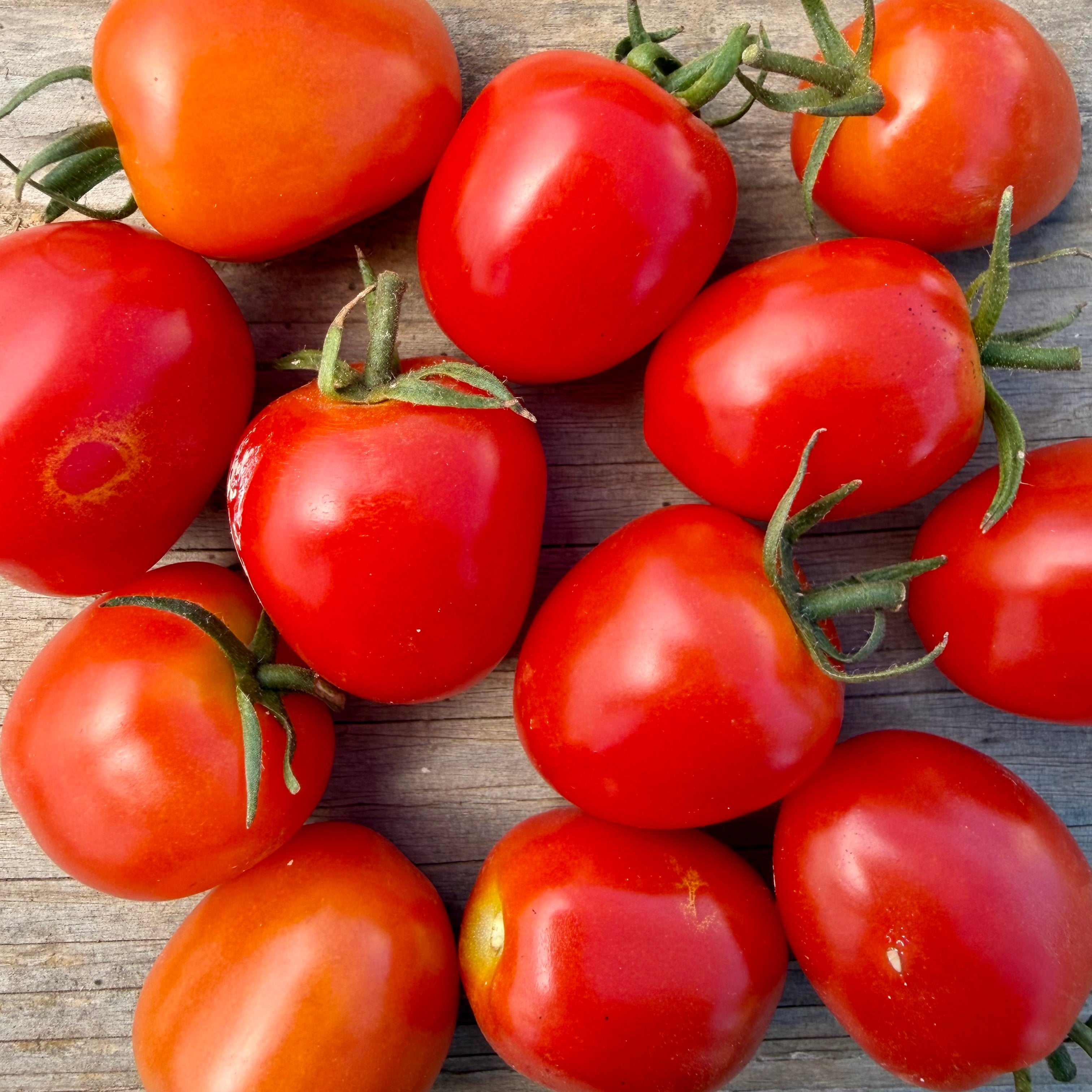 Semillas Tomate sweet heart cherry
