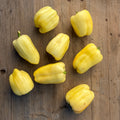 Semillas Pimenton Albino Bullnose
