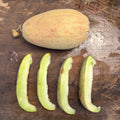 Semillas Melon Bateek Samara