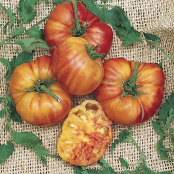 Semillas Tomate Big Rainbow