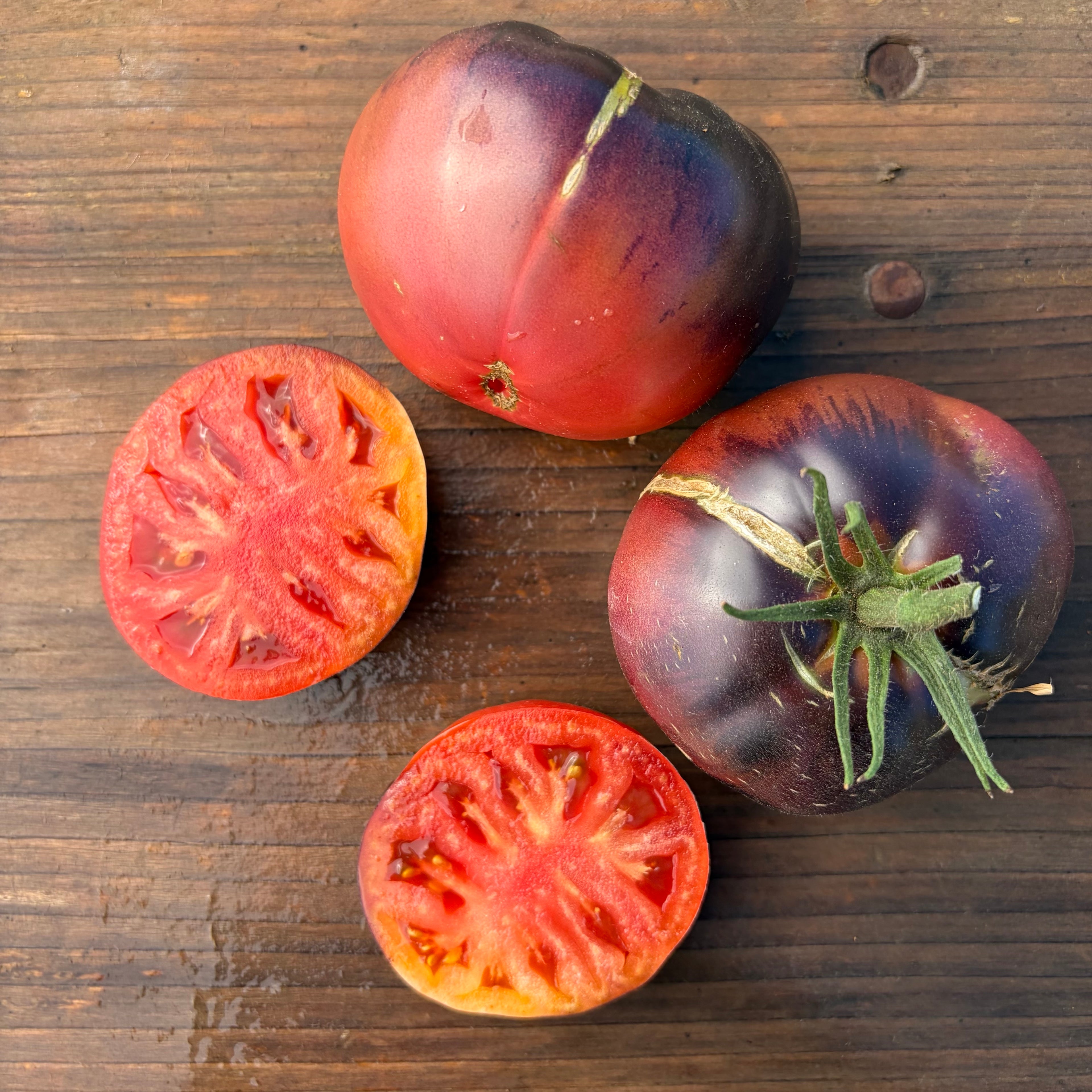 Semillas Tomate Black Beauty