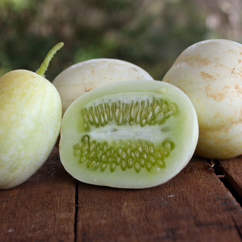 Semillas Pepino Crystal Apple