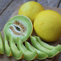 Semillas Melon Honey moon