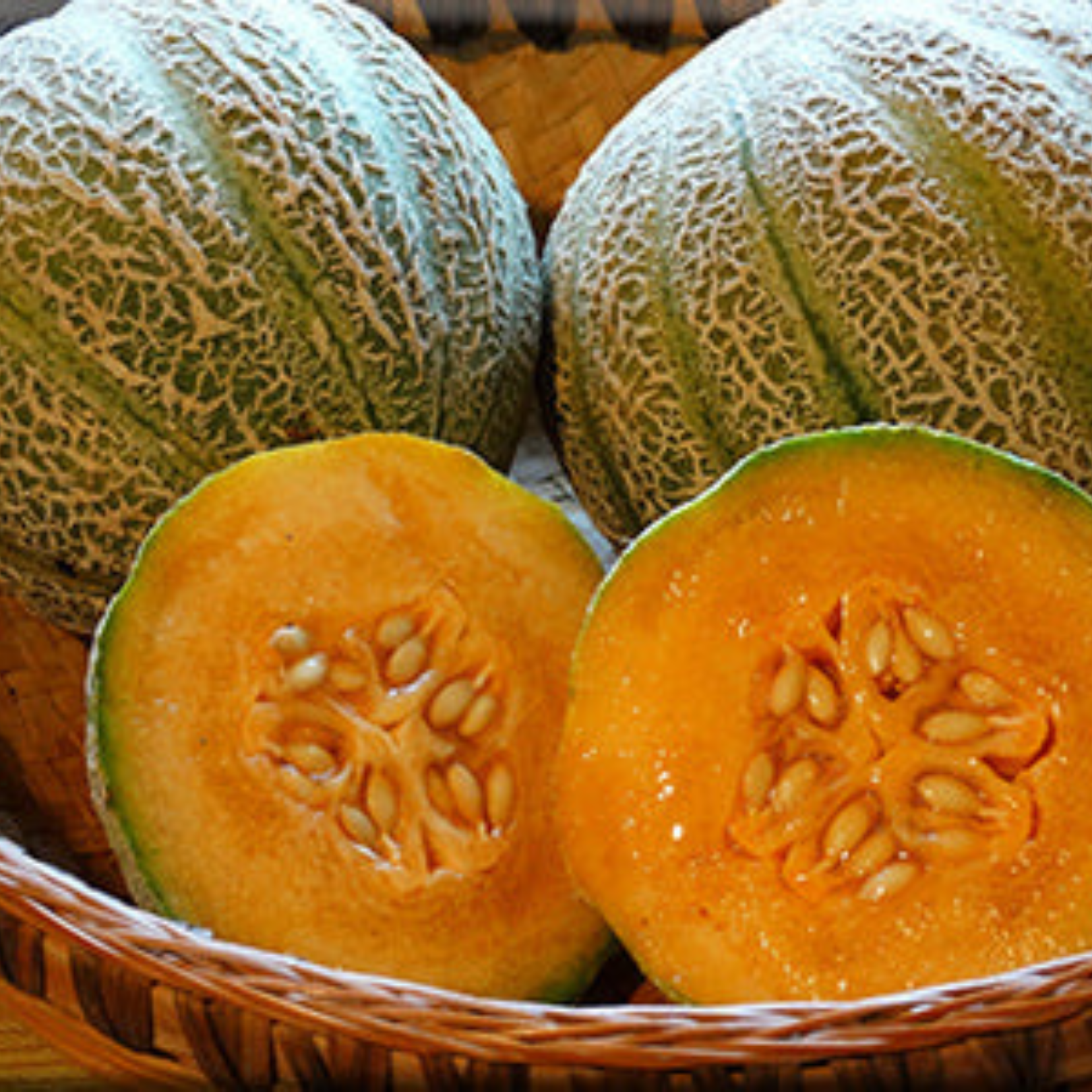 Semillas Melon Minnesota midget