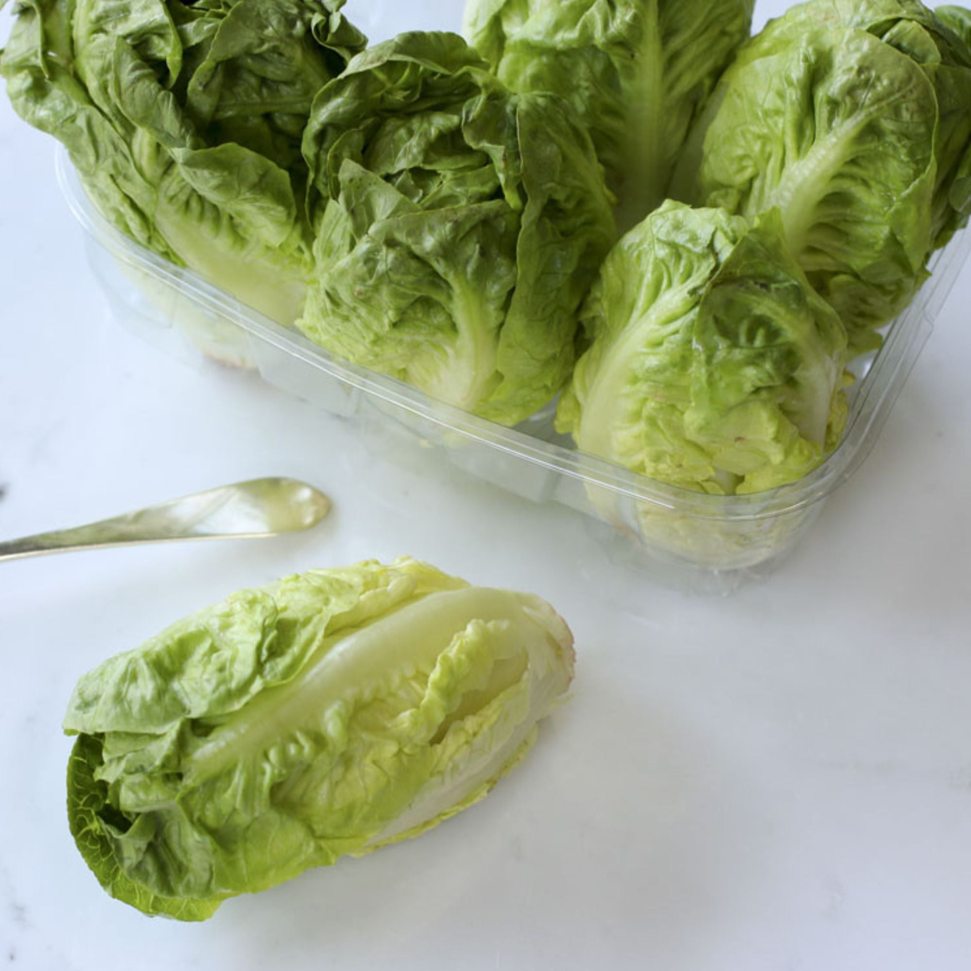 Semillas Lechuga Little Gem