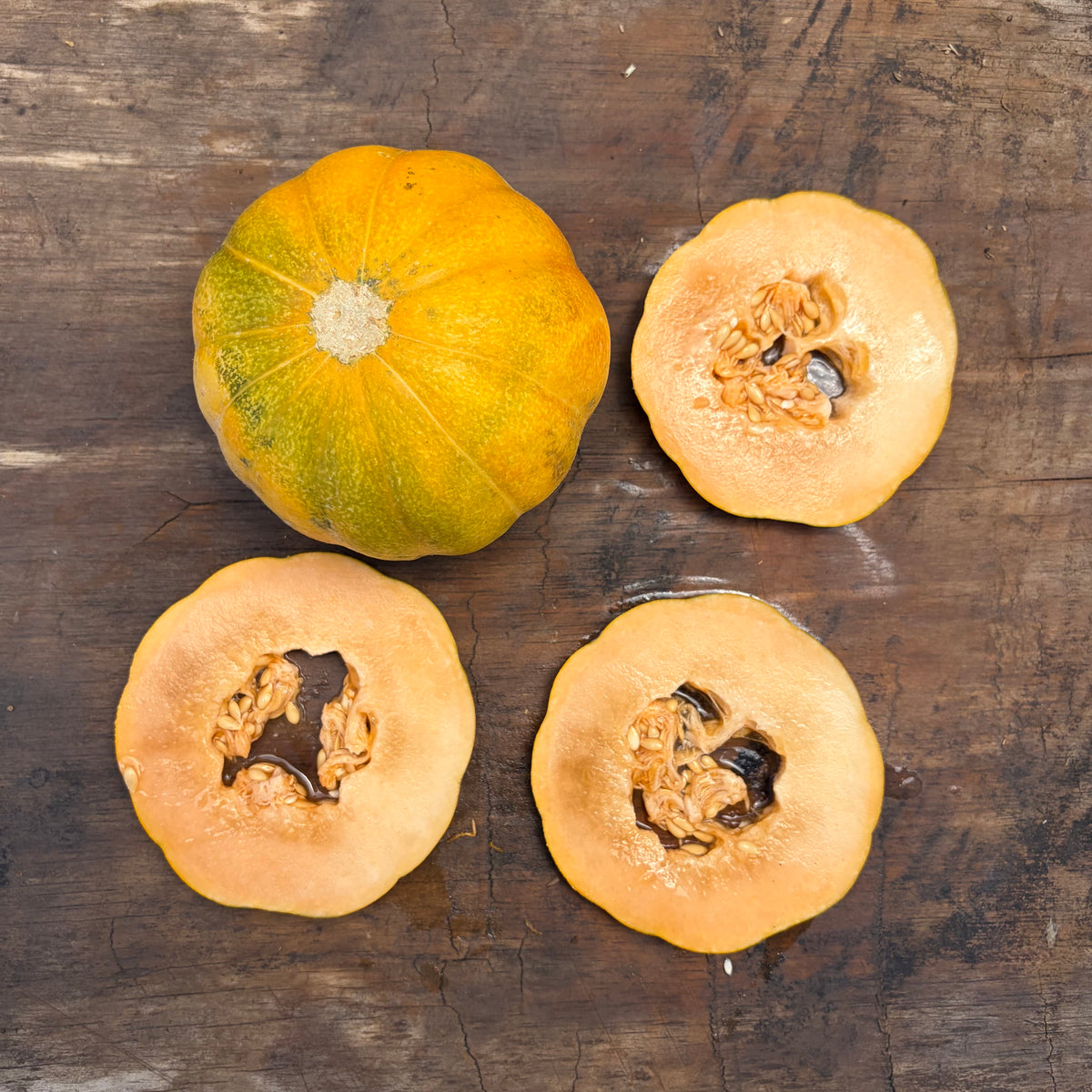 Semillas Melon Ginger's Pride
