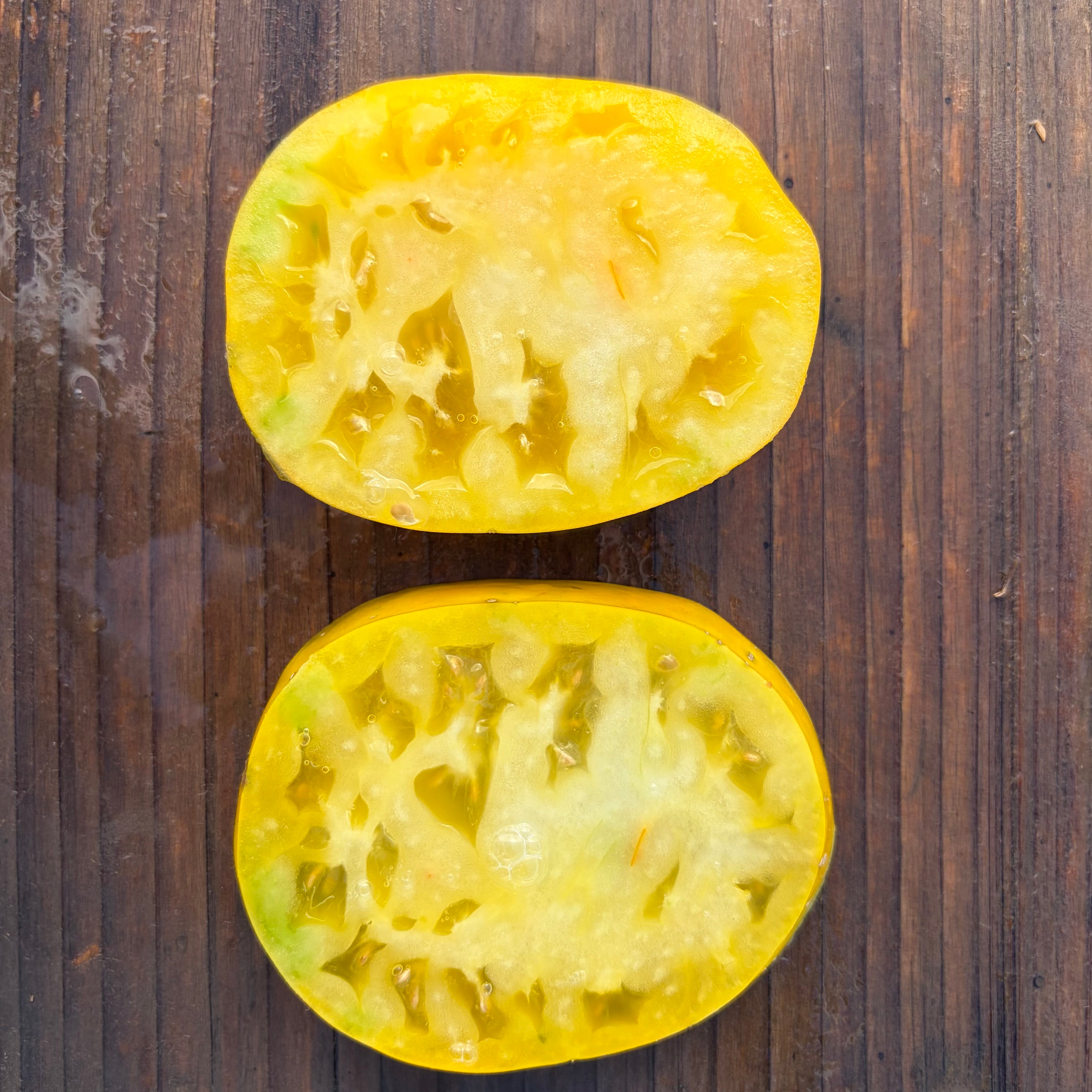 Semillas Tomate Golden King Siberian