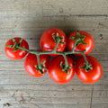 Semillas Tomate A grappoli d'inverno