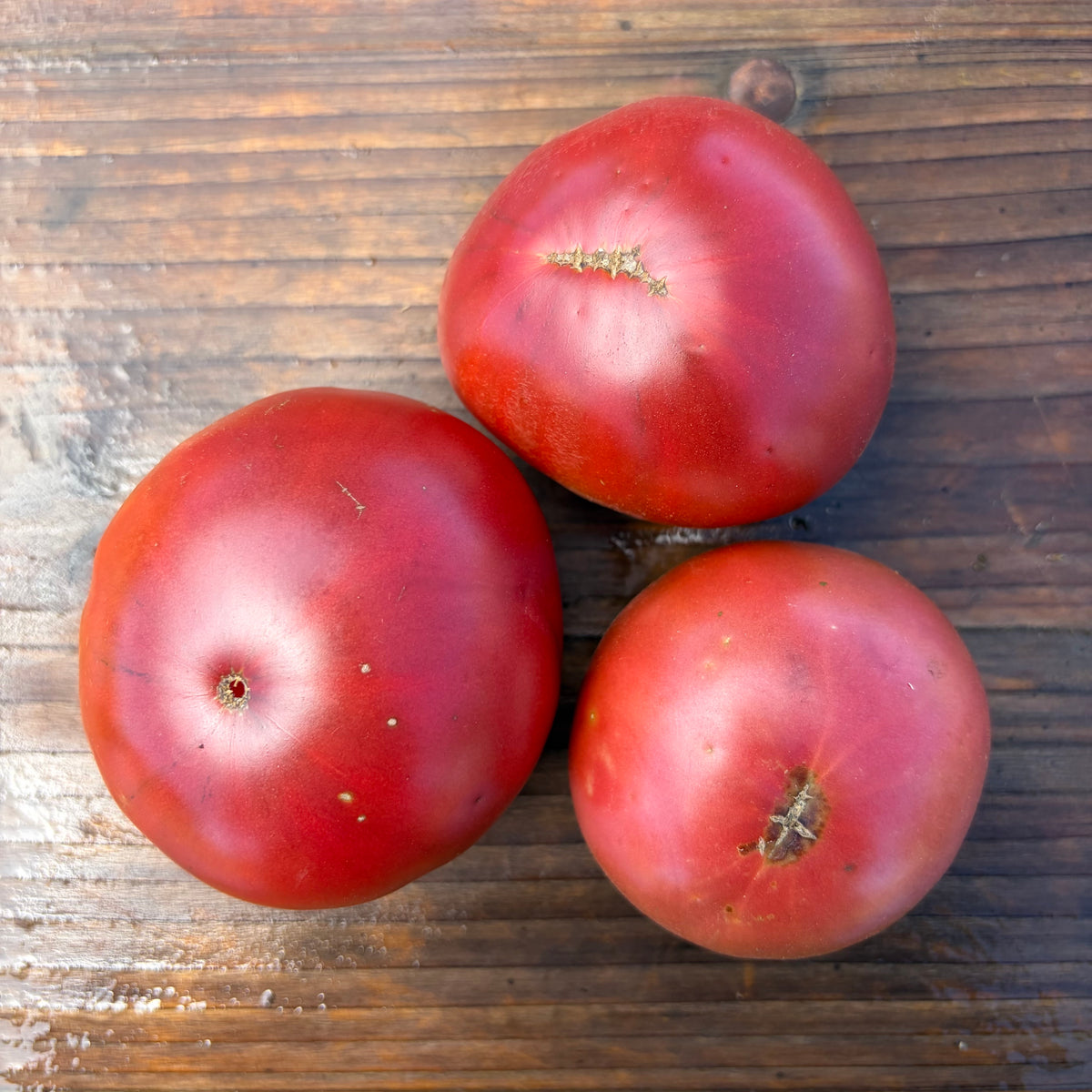 Semillas Tomate Carbon