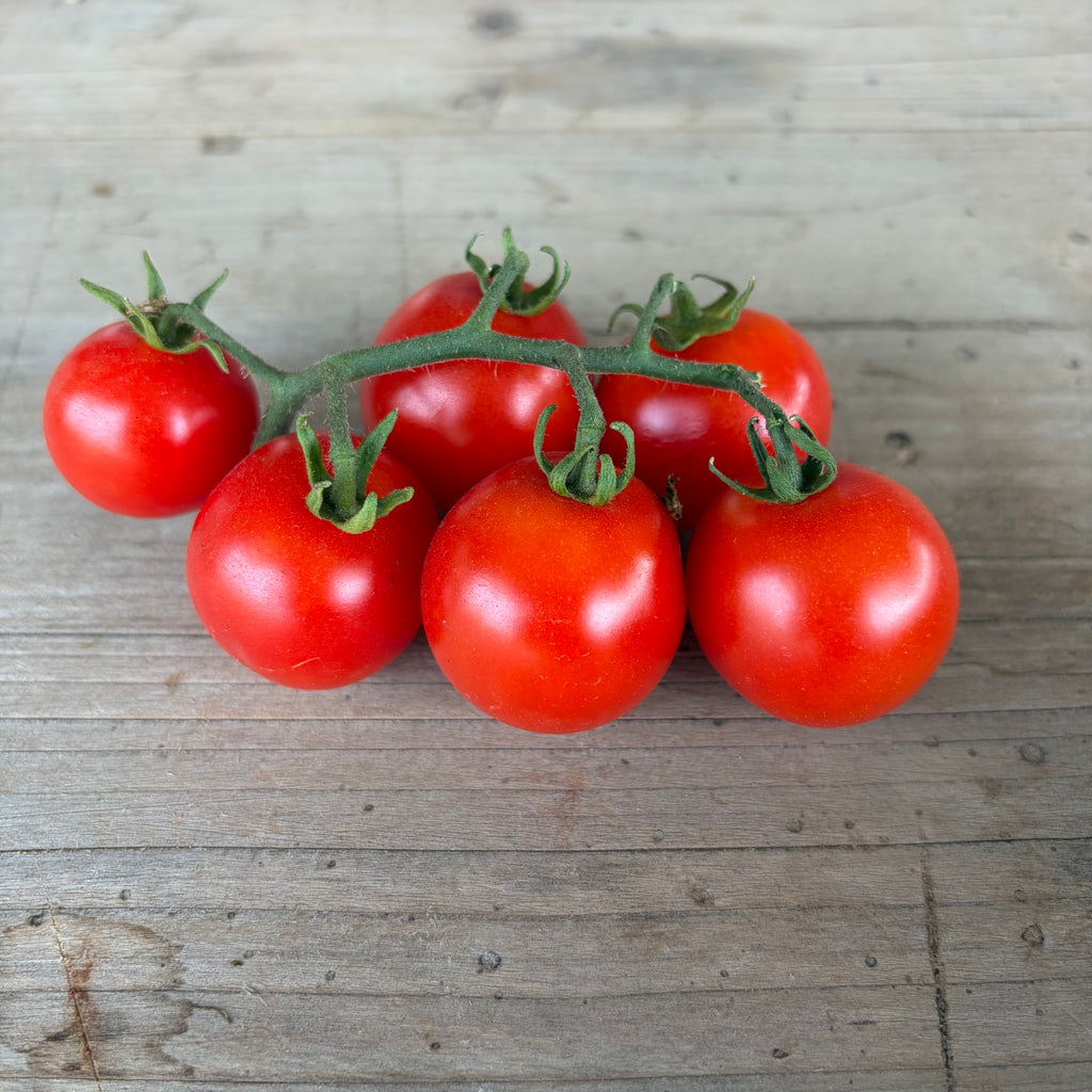 Semillas Tomate Midget Mix