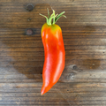 Semillas Tomate Jersey Devil