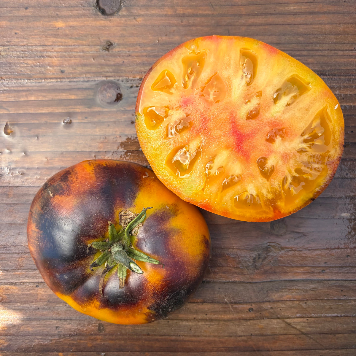 Semillas Tomate Lucid Gem