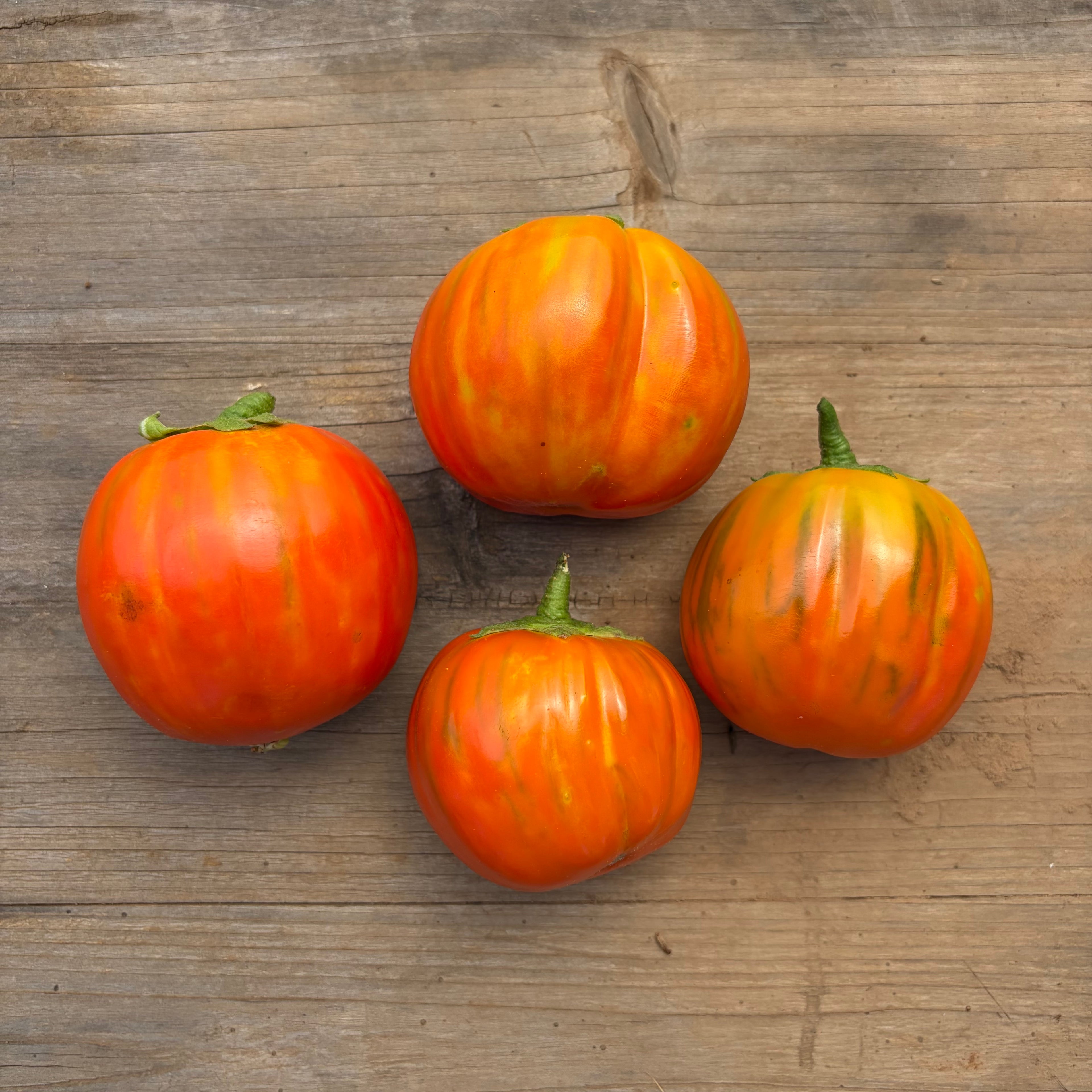 Semillas Berenjena melanzane rosso di rotonda