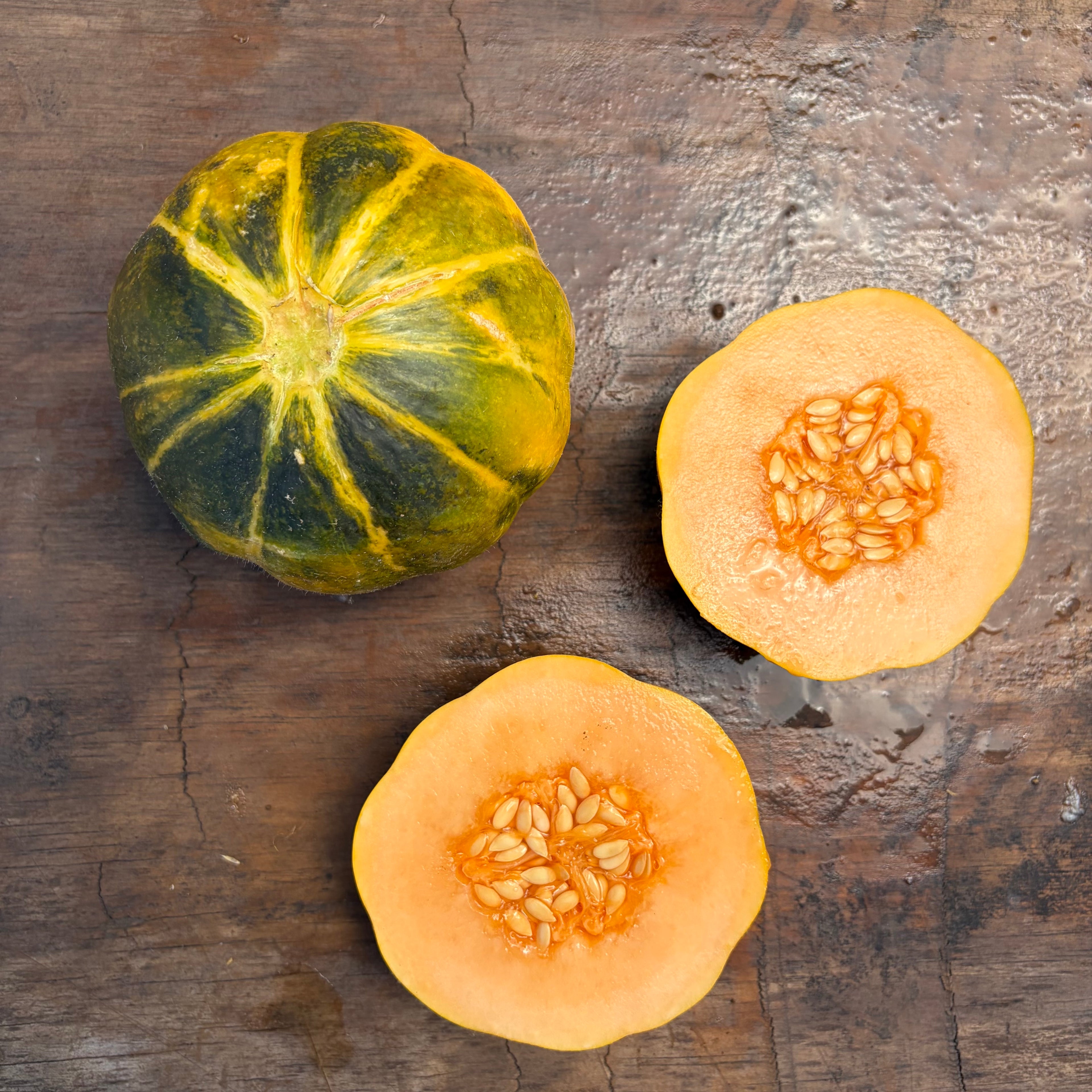 Semillas Melon Noir Des Carnes