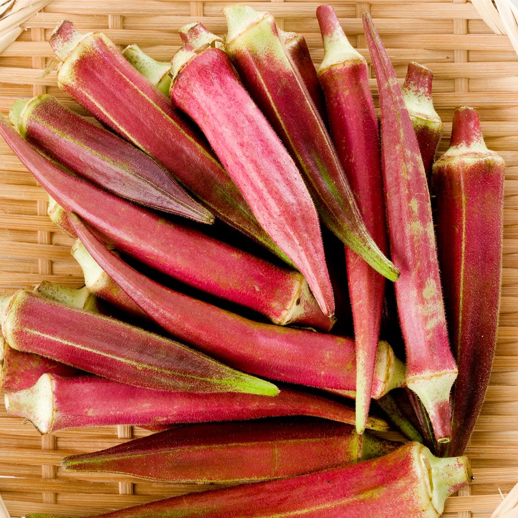 Semillas Okra Jing Orange