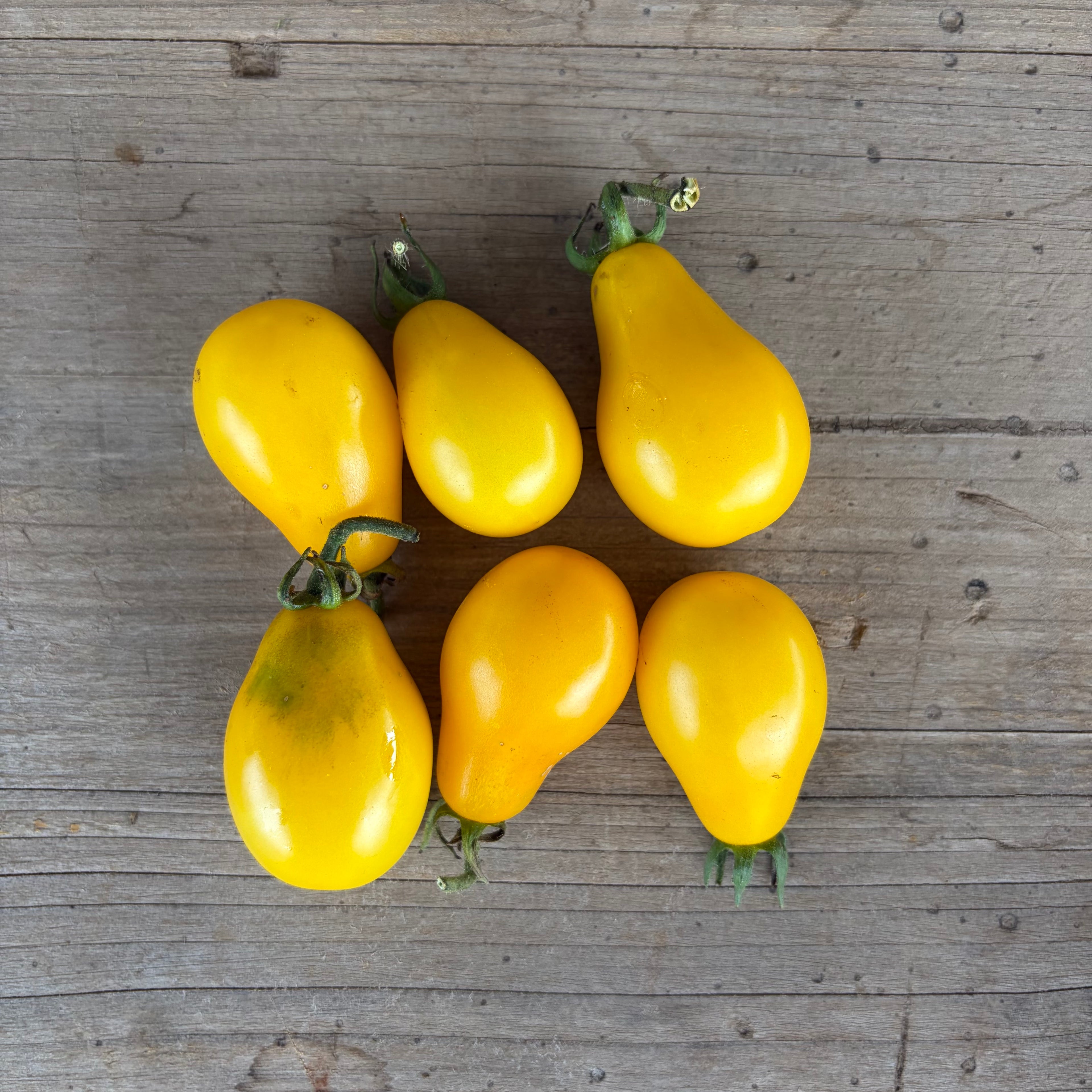 Semillas Tomate yellow pear