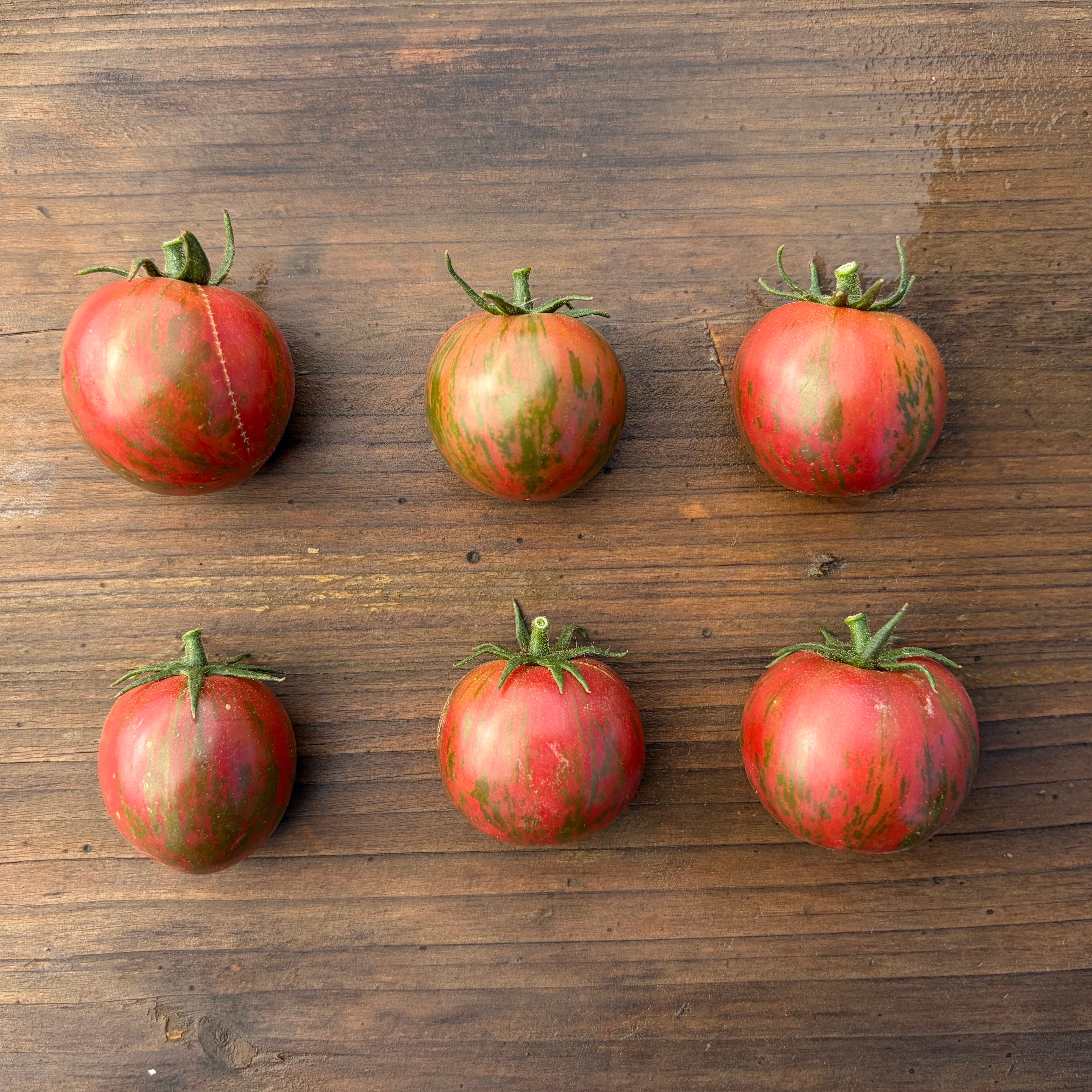 Semillas Tomate Artisan purple bee