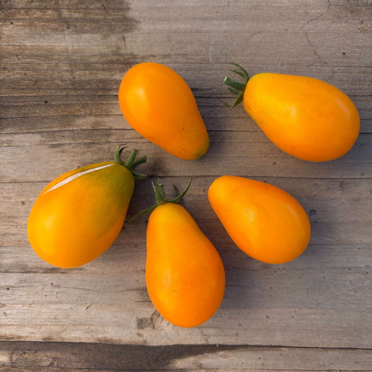 Tomate roma amarillo