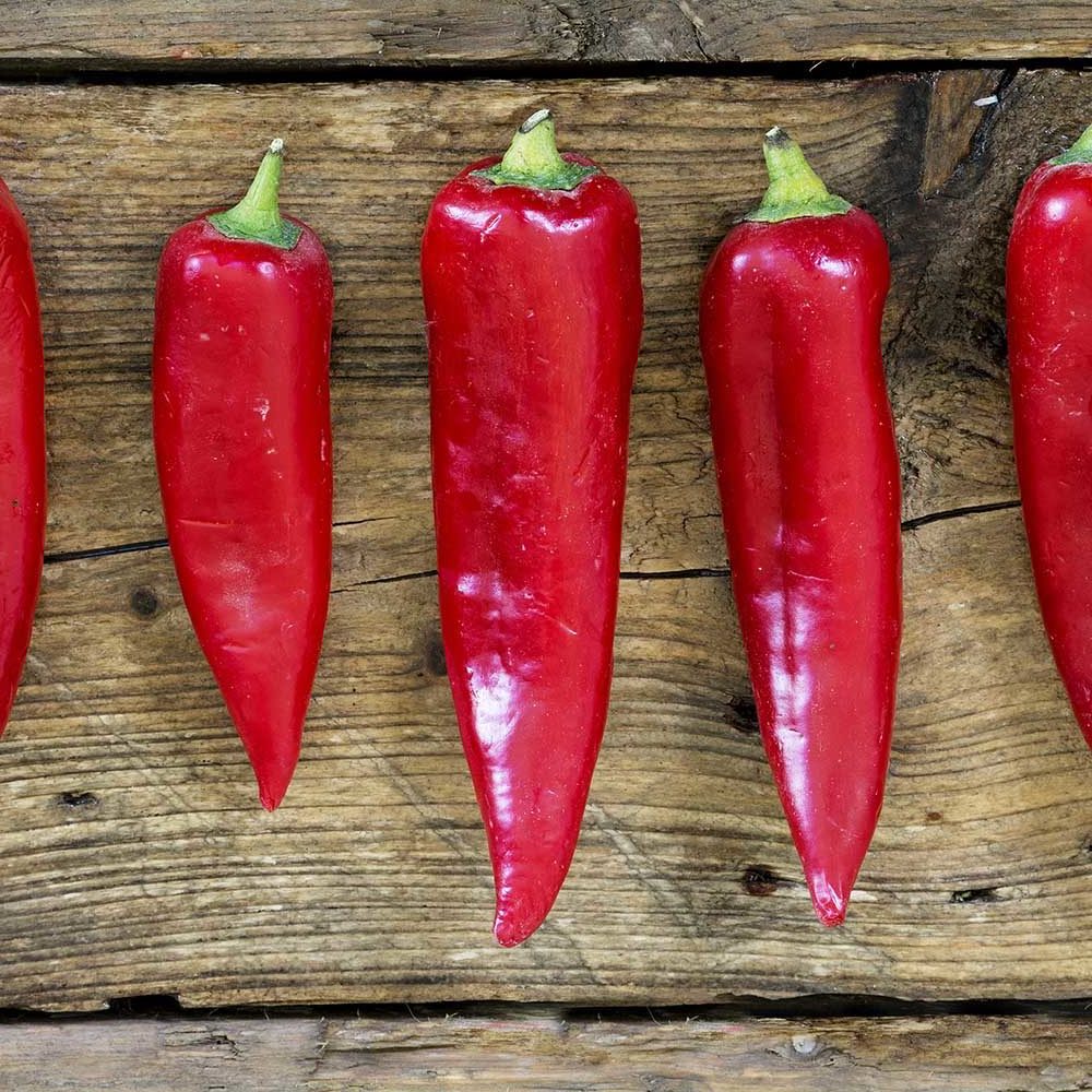 Semillas Pimenton Marconi rosso