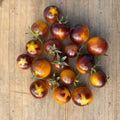 Semillas Tomate Blue Gold Berries