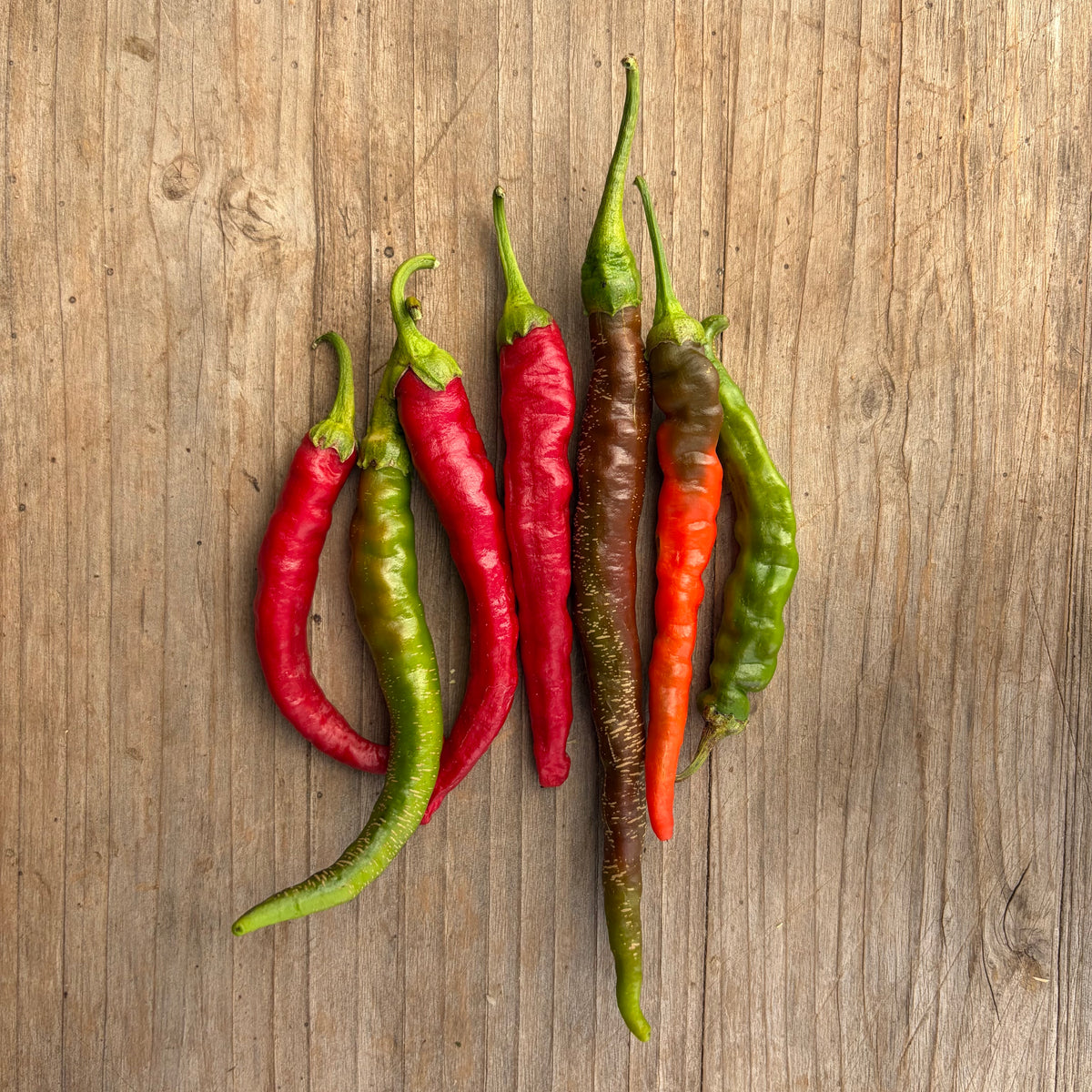 Semillas Ají Cayenne long thin