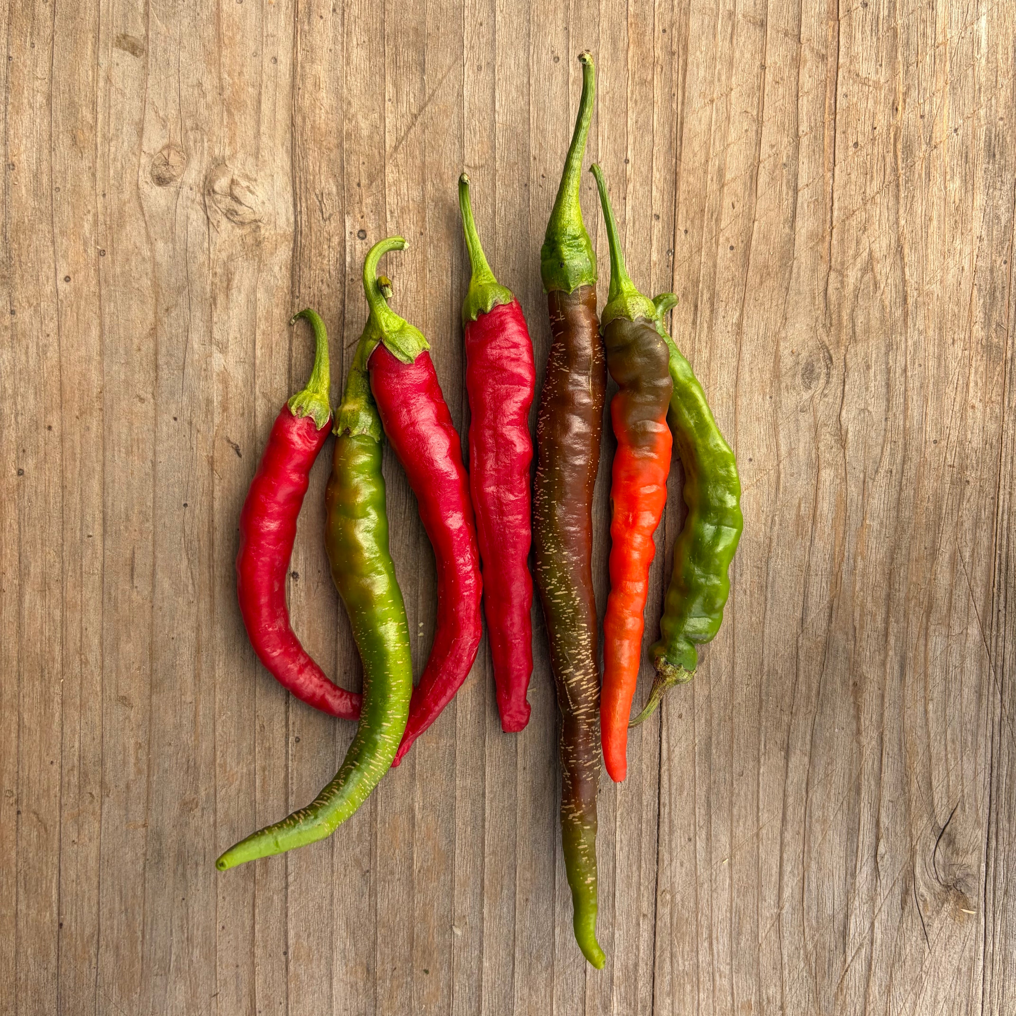 Semillas Ají Cayenne long thin