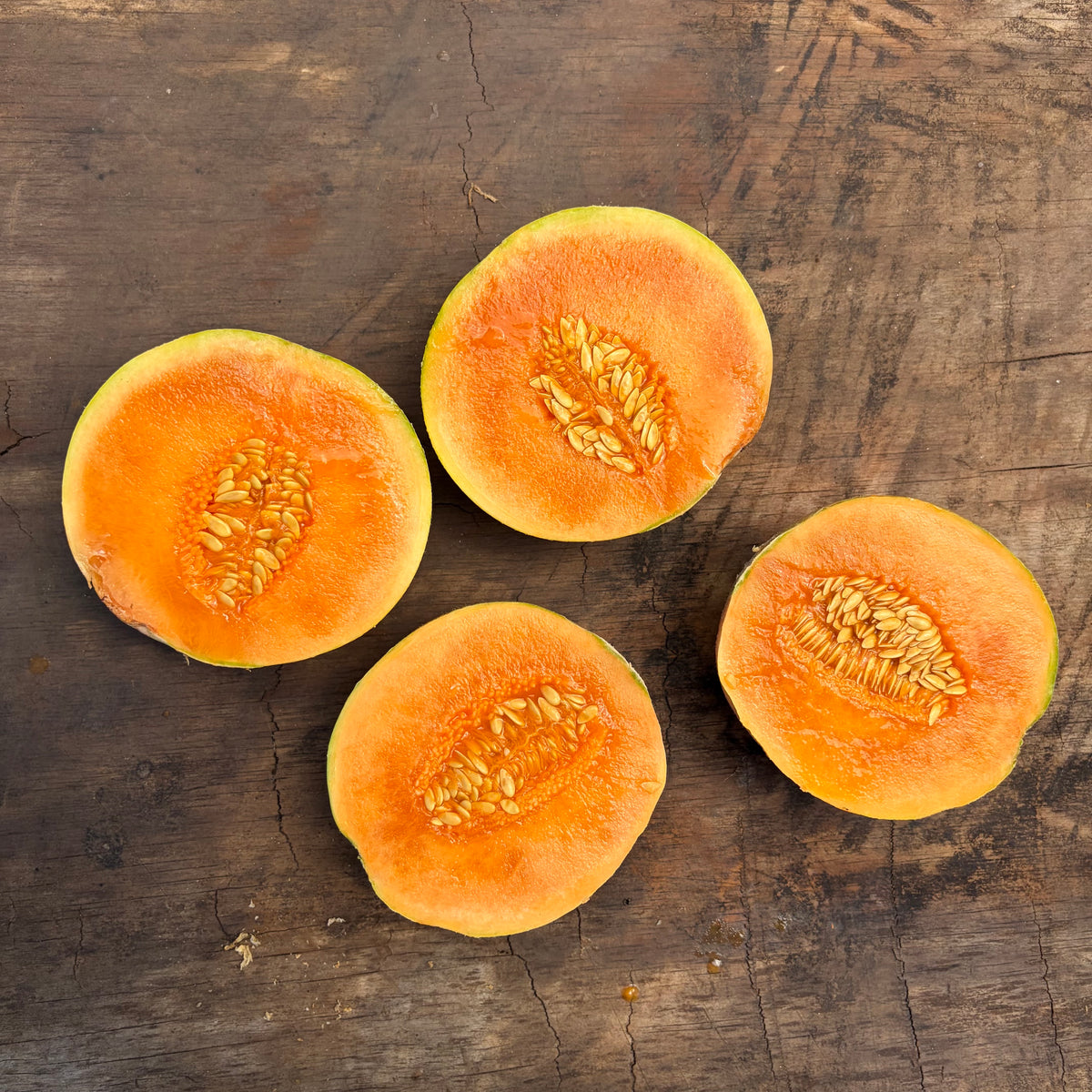 Semillas Melon Charentais