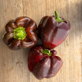 Semillas Pimenton Chocolate Beauty