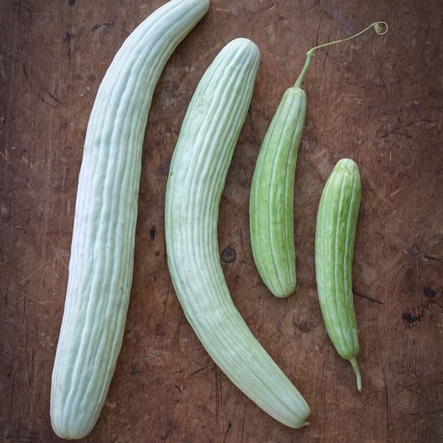 Semillas Pepino Armenian yard long