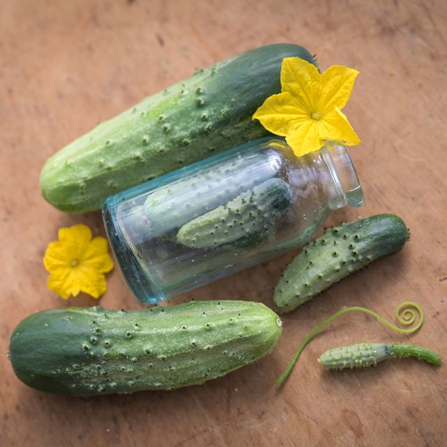 Semillas Pepino boston pickling