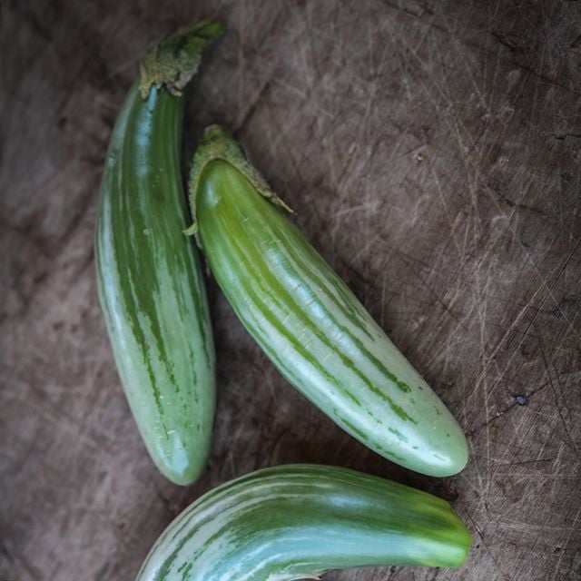 Semillas Berenjena thai green frog fingers