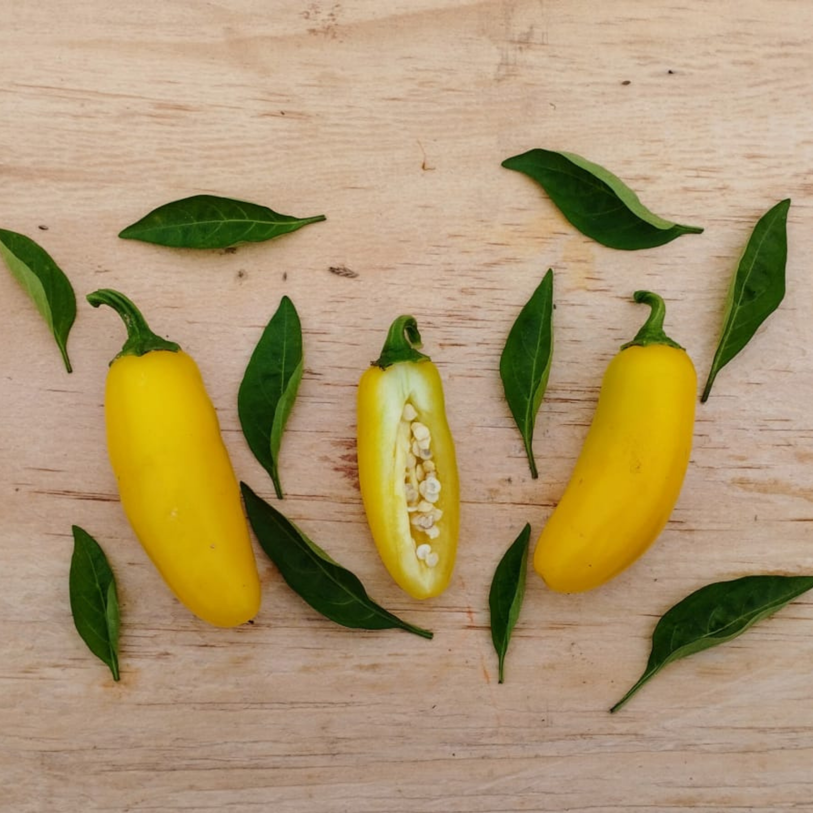 Semillas Aji Lemon spice