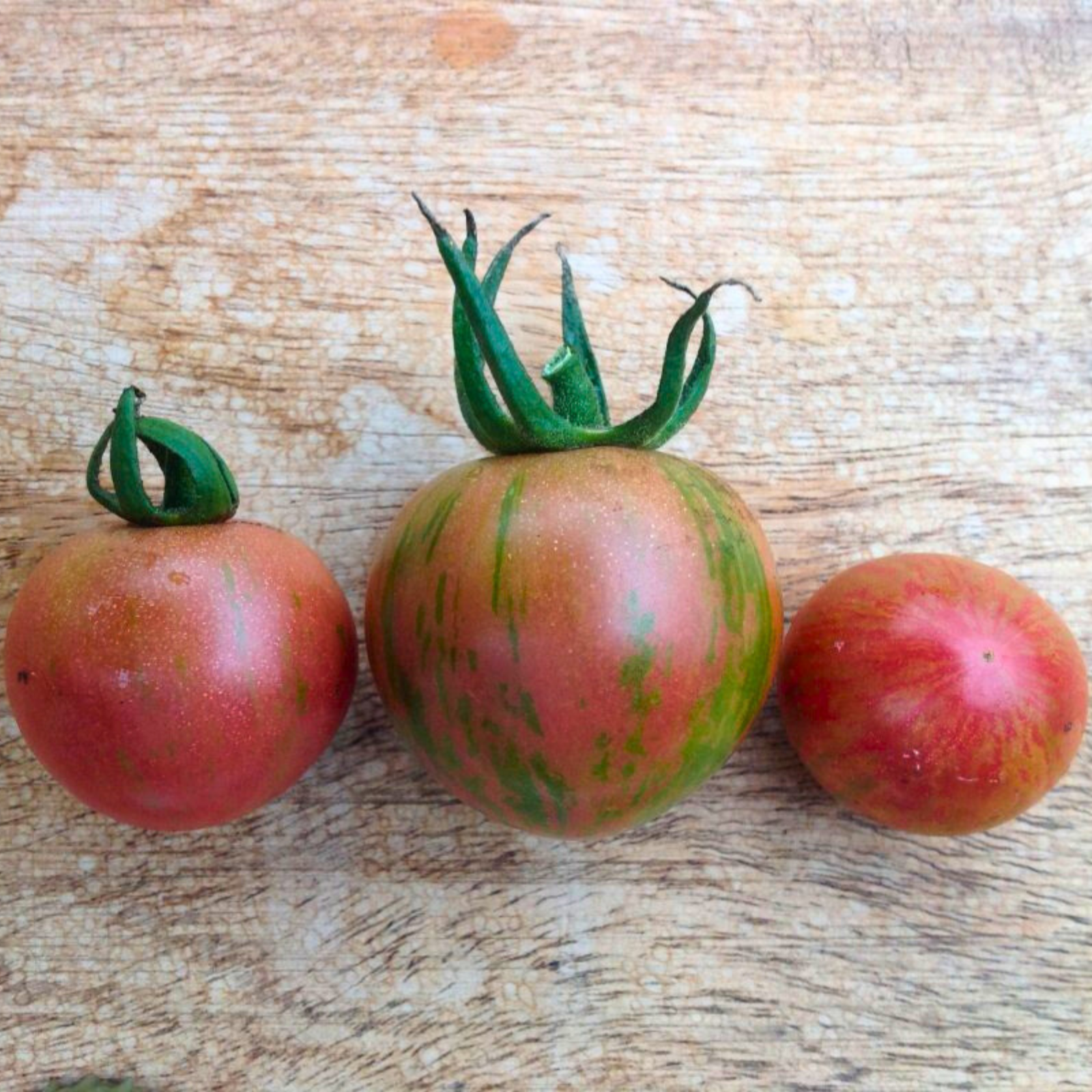 Semillas Tomate Artisan purple bee