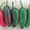 Semillas Aji Early Jalapeño