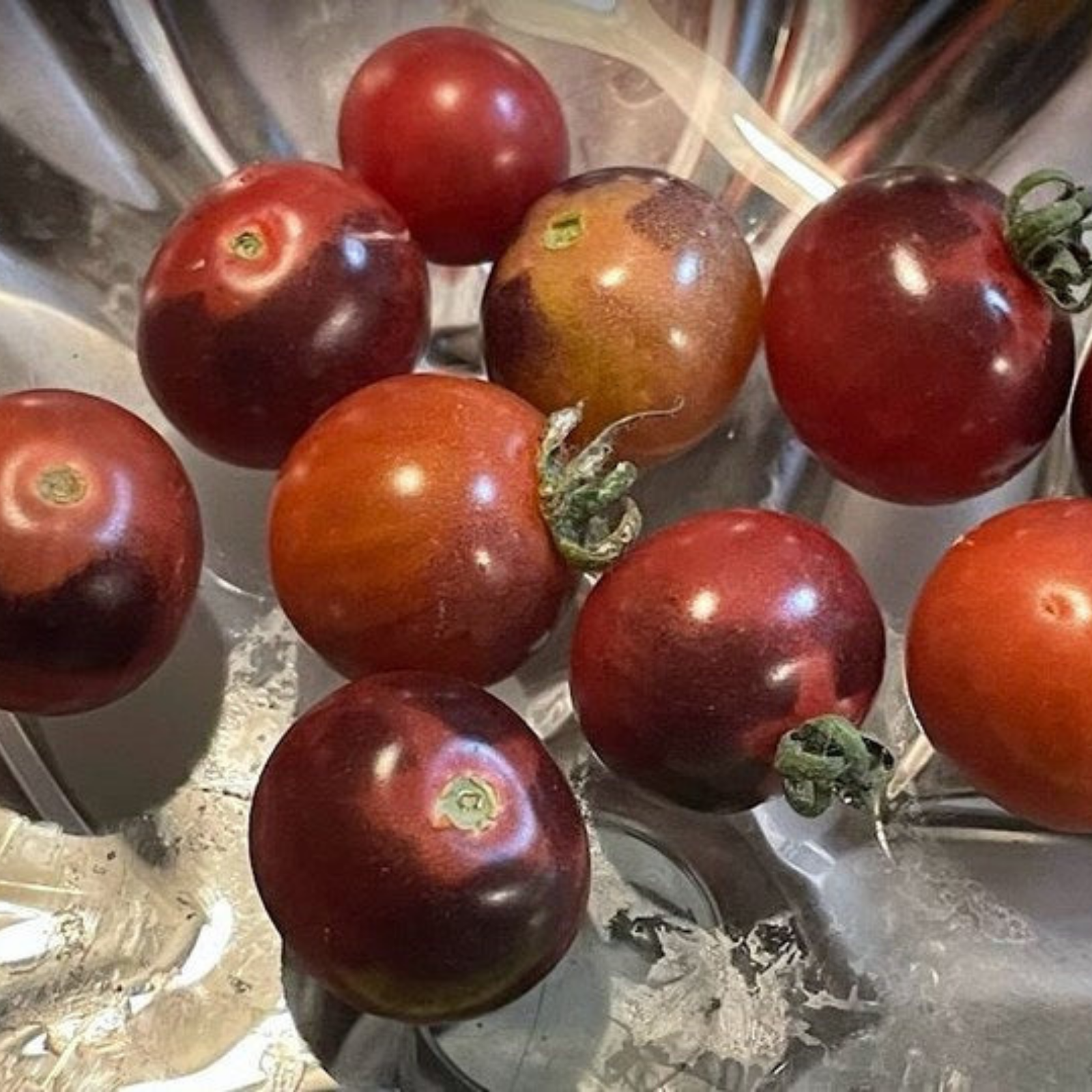 Semillas Tomate glossy rose blue