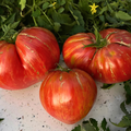 Semillas Tomate Pink Berkeley