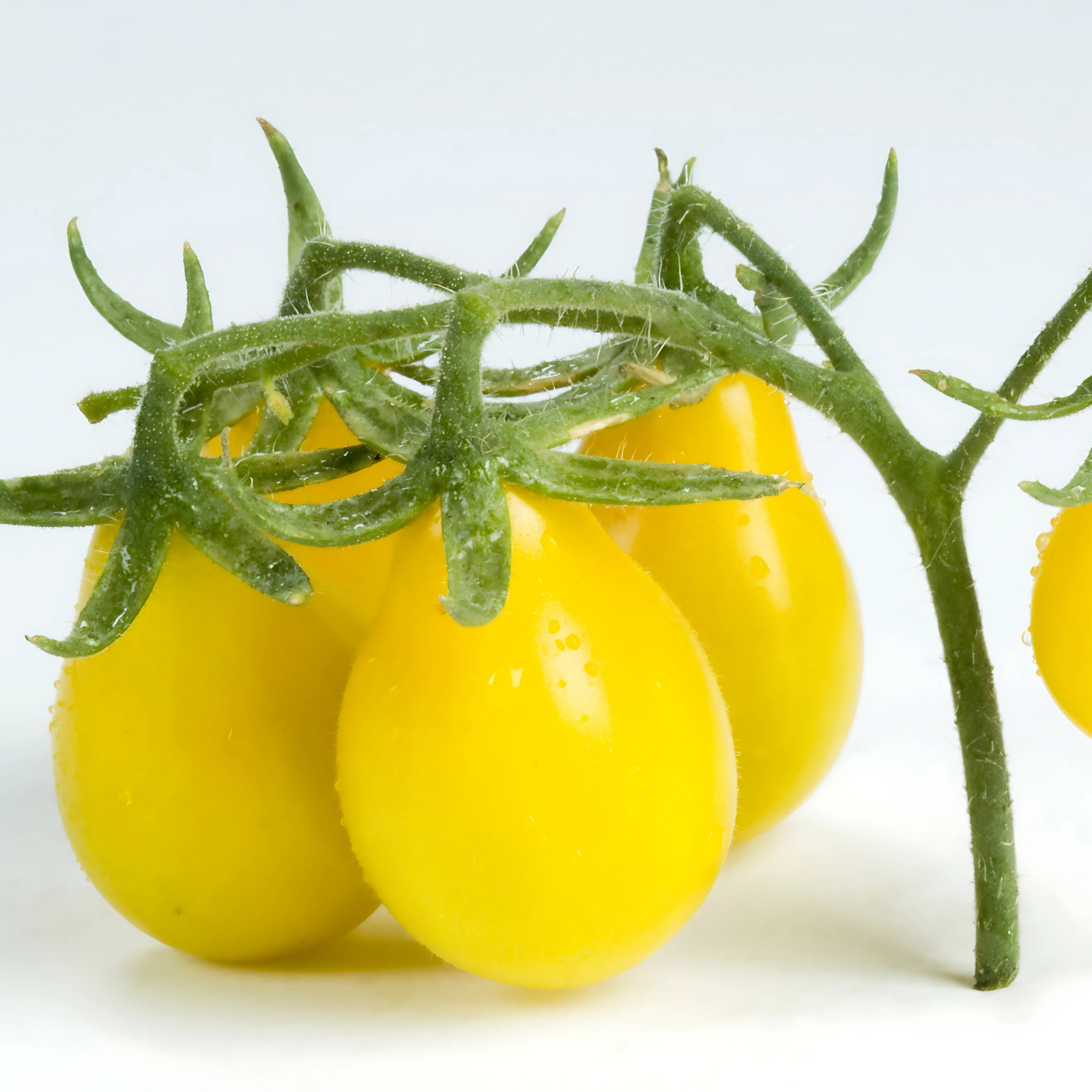 Semillas Tomate yellow pear