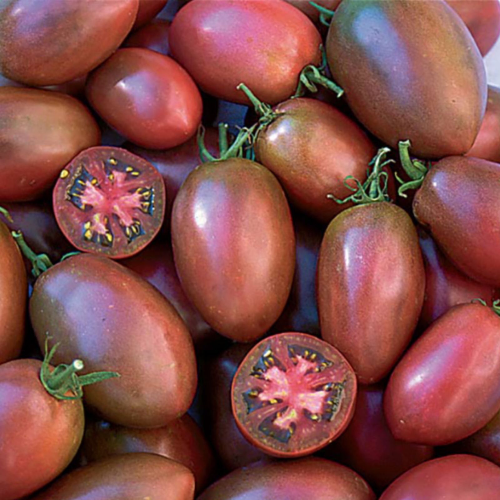 Semillas Tomate purple russian