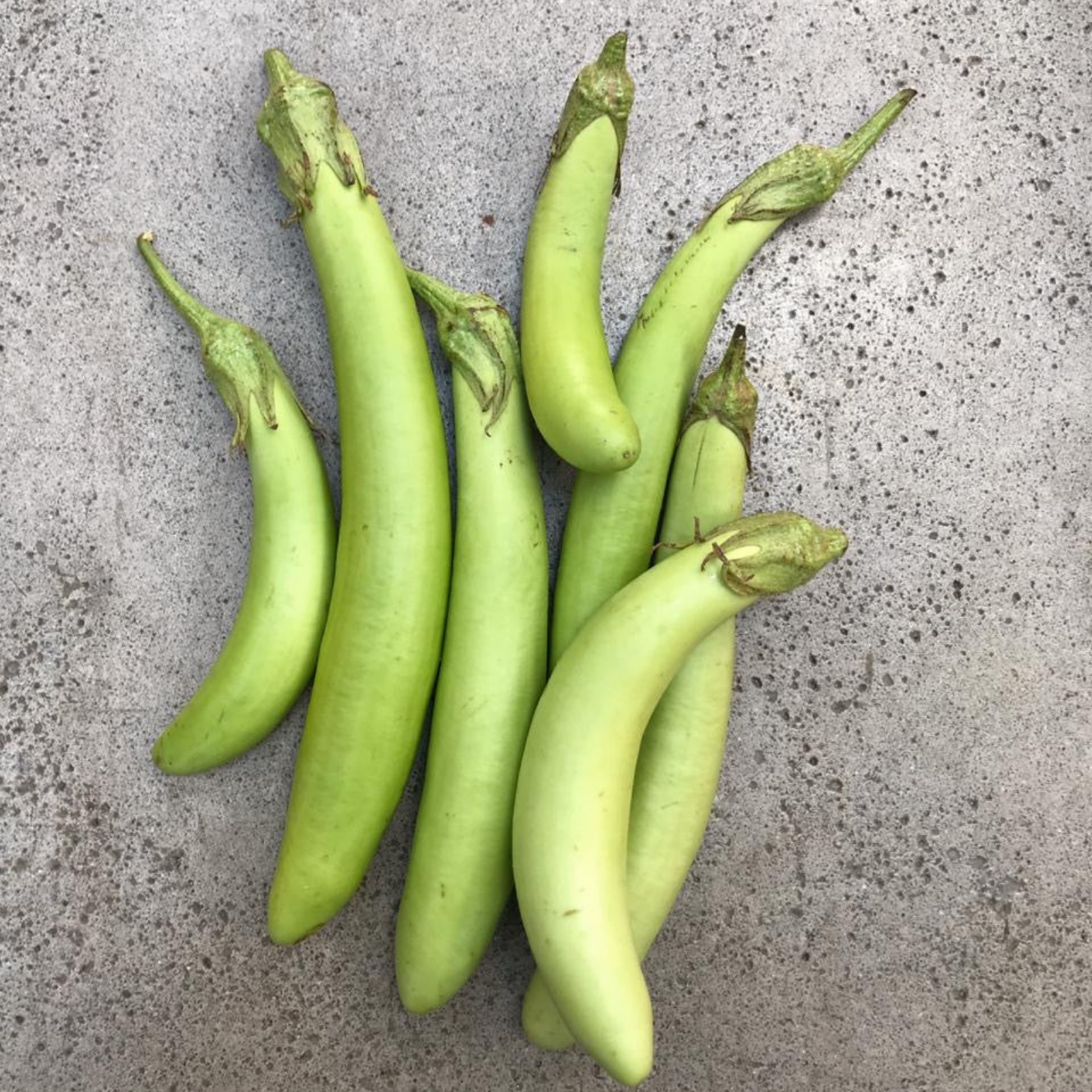 Semillas Berenjena thai long green