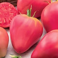 Semillas Tomate Pink Oaxheart