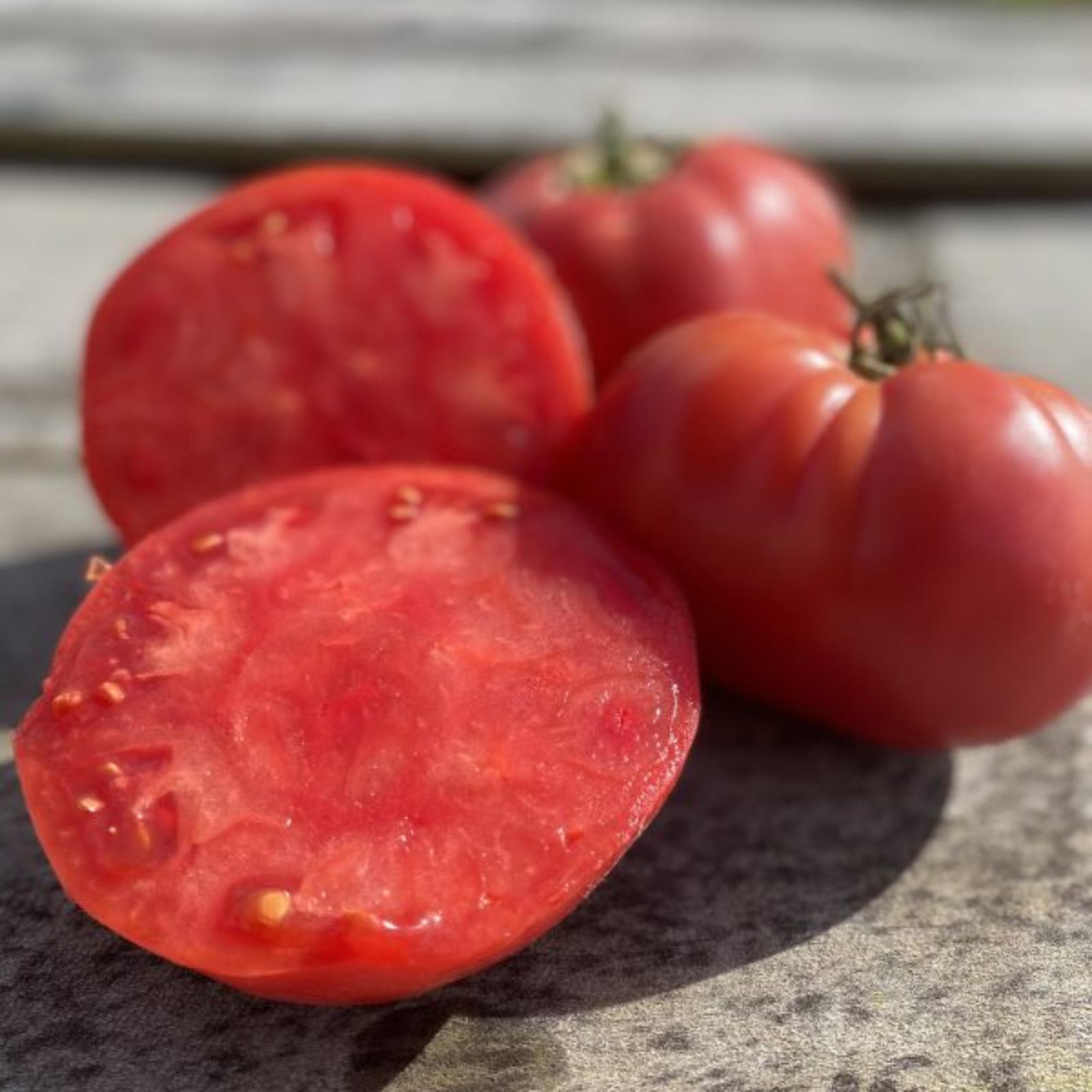 Semillas Tomate Rose
