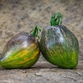 Semillas Tomate rebel starfighter green