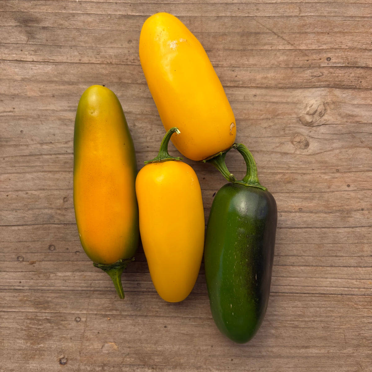 Semillas Aji Lemon spice