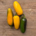 Semillas Aji Lemon spice