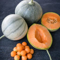 Semillas Melon Charentais