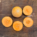 Semillas Melon Minnesota midget