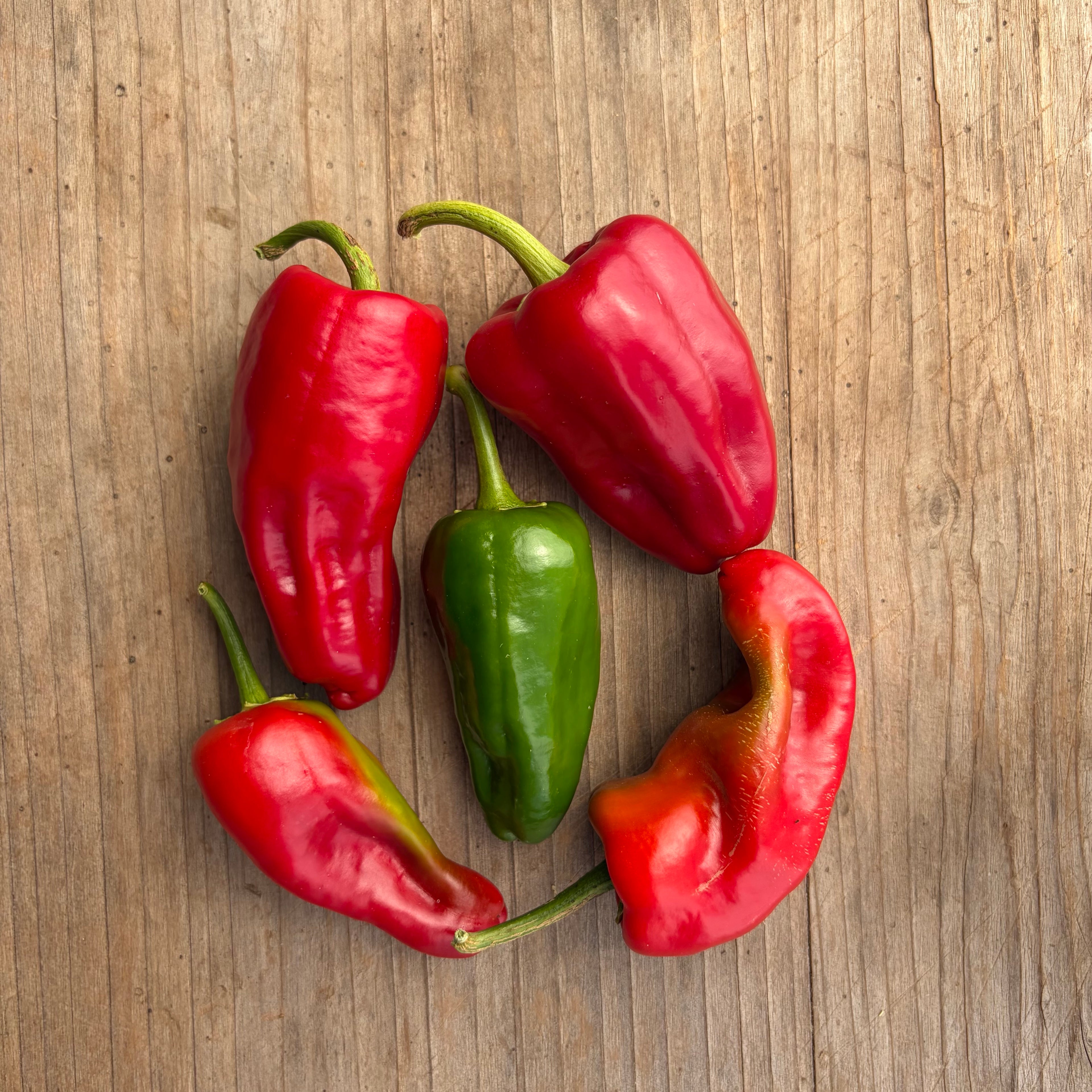 Semillas pimenton leutschauer paprika