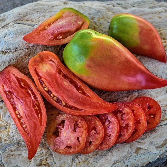 Semillas Tomate Korean Long