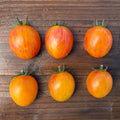 Semillas Tomate Sunrise Bumblebee